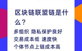 国际区块链联盟,推进全球区块链技能展开的前锋力气