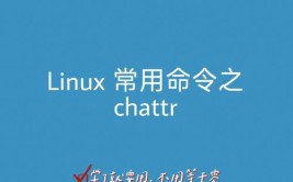 linux文本修改指令,在linux中要检查文件内容可运用什么指令