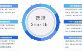 bi大数据剖析,企业数据驱动的未来之路