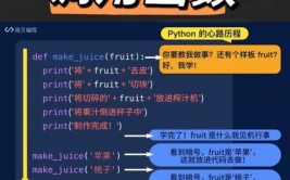 python函数调用, 什么是函数调用？