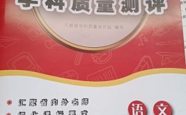 大数据学科质量测评卷电子版,立异教育评价东西