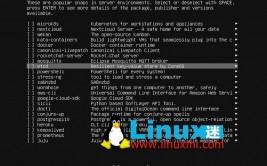 ubuntu是linux吗,Ubuntu是Linux吗？深化解析Ubuntu与Linux的联络