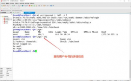 linux用户权限办理,Linux用户权限办理概述