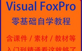 数据库vfp,深化解析Visual FoxPro（VFP）数据库编程