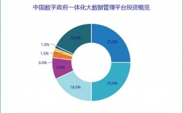 大数据来历包含,大数据来历概述