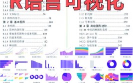 r言语 lapply,高效处理列表的利器