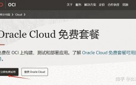 oracle云服务器永久免费,敞开云端新体验