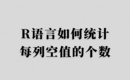 r言语核算,R言语在核算学中的运用与优势