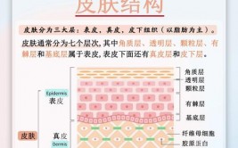 css半通明, 半通明作用的基础知识