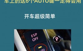 html auto特色,什么是auto特色？