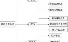 数据库学生选课体系,体系需求剖析