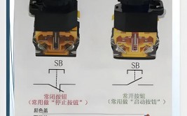 html按钮款式, 按钮的根本结构