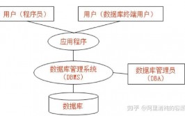 网络数据库是什么,什么是网络数据库？