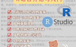 r言语 cor,深化解析及其运用