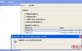 sqlserver数据库复原,SQL Server数据库复原概述