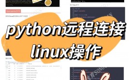 linux晋级python,Linux体系Python版别晋级攻略