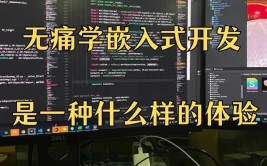 嵌入式程序规划,中心技能与运用实践