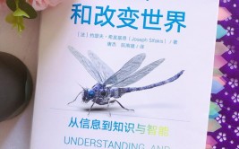 大数据开展进程有哪几个阶段,大数据开展进程概述