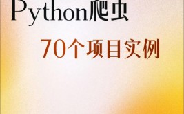 爬虫python能做什么,探究其使用范畴