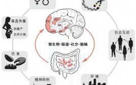 微生物机器学习,探究微生物组学的新范畴