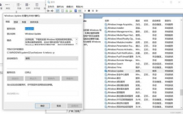 c盘windows更新整理,开释空间，优化体系功能