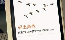 阿里巴巴java开发手册,进步代码质量与开发功率