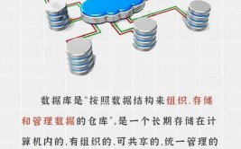 抖音数据库,架构、优化与应战