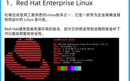 红帽linux,企业级开源操作系统的引领者