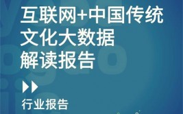 我国有哪些大数据,我国大数据工业的蓬勃开展