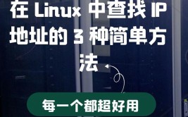 linux获取ip,Linux体系中获取IP地址的具体攻略