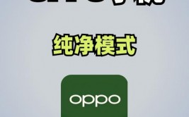 oppo手机开发者形式,什么是OPPO手机开发者形式？