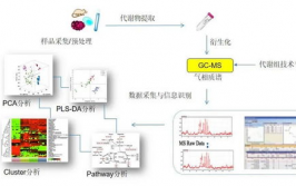 代谢组学数据库,生物信息学的重要东西