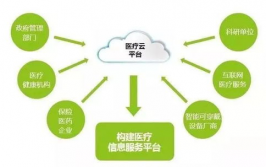 才智医疗大数据途径,赋能医疗健康职业的新引擎