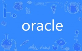 oracle11