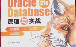 oracle业务,根底、办理与运用