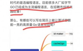 go什么意思中文,Go言语及其在编程范畴的运用