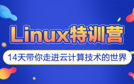 在线linux训练,敞开你的技能之旅