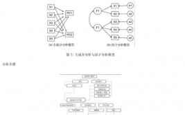 因子剖析r言语,因子剖析在R言语中的运用与完成