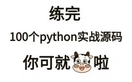 python解说器是什么,编程国际的翻译官