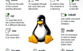 开源体系linux,开源的力气，引领现代核算机国际的革新