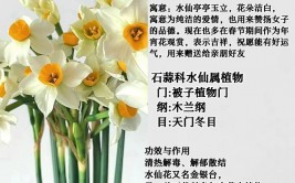 水仙花数python,什么是水仙花数？