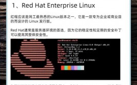 LINUX诞生,Linux的诞生布景