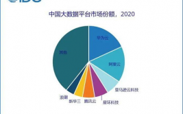 职业大数据渠道,职业大数据渠道概述