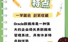 oracle产品,功用、特色与运用场景