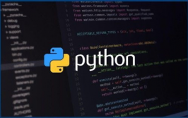 python大数据编程,技能解析与运用实践