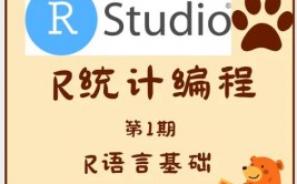 r言语学习,从入门到通晓