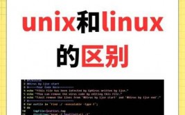 linux和unix,操作体系的开展与演化