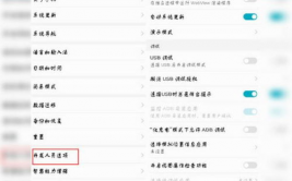 手机开发者选项在哪,手机开发者选项在哪里？全面解析各大品牌手机开发者形式的敞开办法