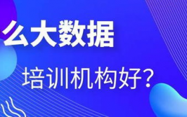 大数据训练出来好惨白,是“惨白”仍是“黄金”机会？