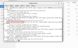 linux查询ip,Linux体系下查询IP地址的具体攻略